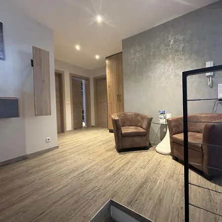 Alpin Loft By Krone Agency Apartment